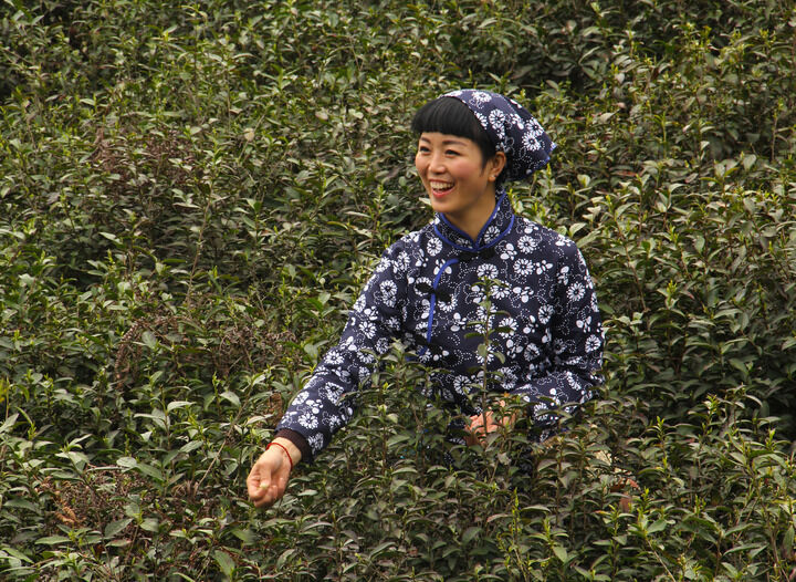 短剧